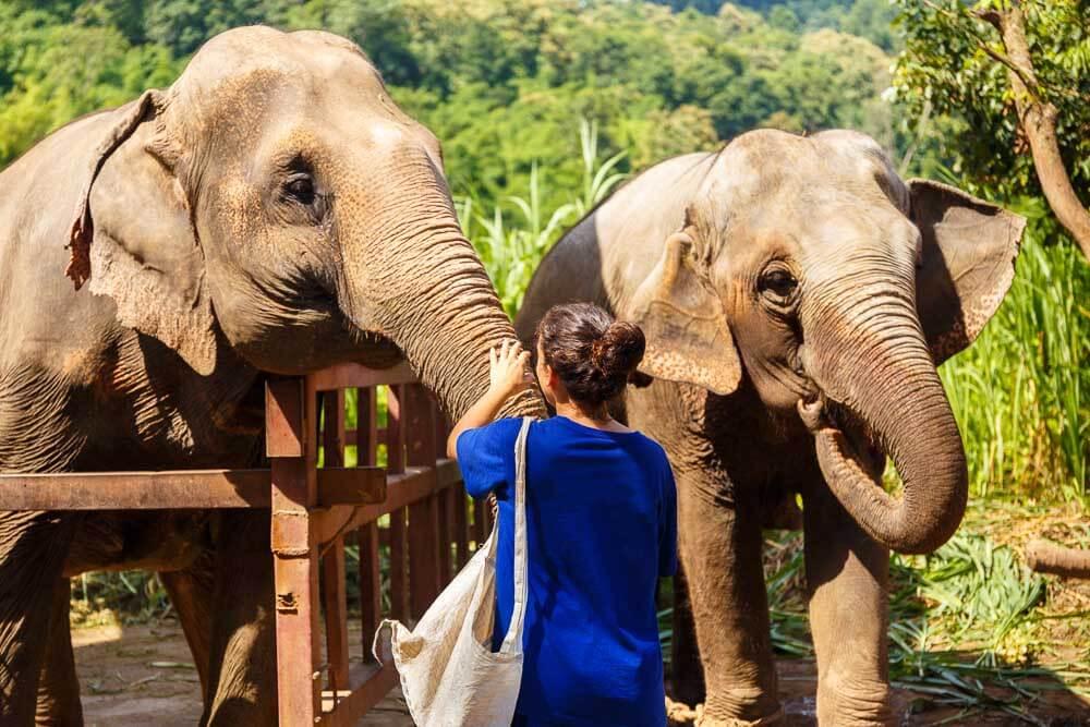 Elephant Sanctuary